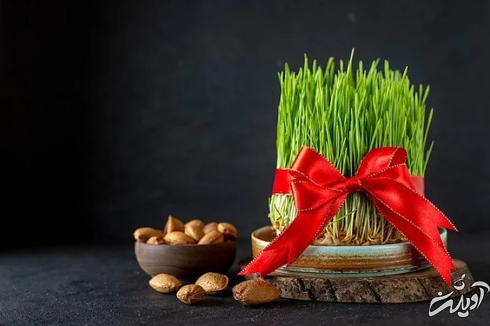 شعرهای تبریک عید نوروز تبریک سال نو 1402